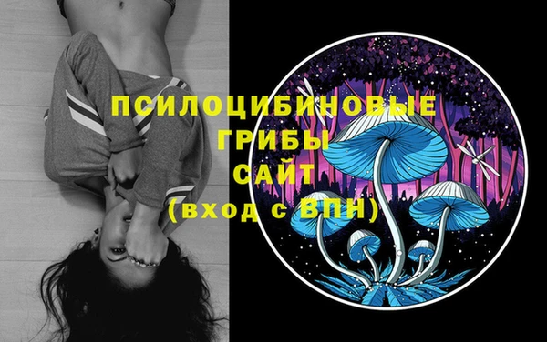 jwh Горнозаводск