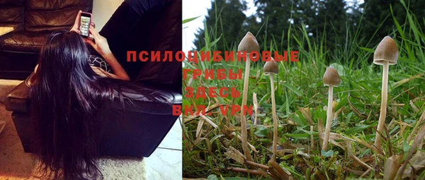 jwh Горнозаводск