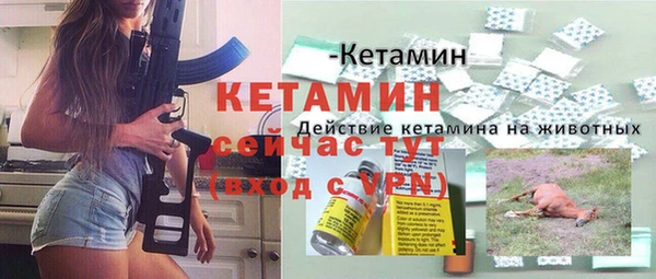 гидра Горняк