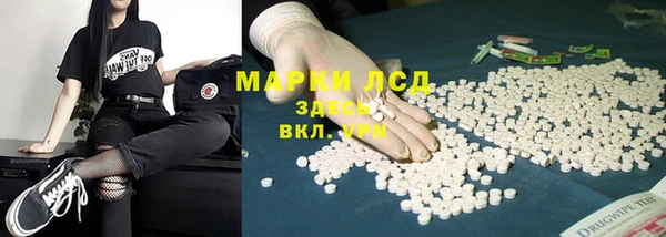 сатива Вязники