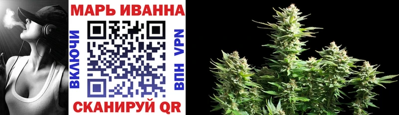 Бошки марихуана THC 21%  Купить закладки  Кудрово 